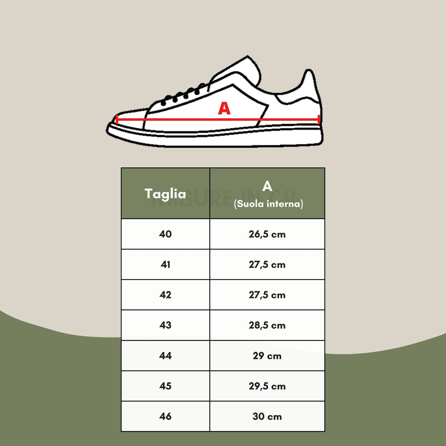 Roberto Cavalli Black Leather Sneakers with Silver Logo