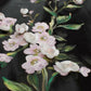 Dolce & Gabbana Black patent floral HANDPAINTED dress