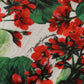 Dolce & Gabbana Multicolor Geranium Cotton Knee Length Dress