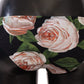 Dolce & Gabbana Black Roses Print Swimsuit Bikini Bottom Swimwear