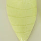 Paris Texas Croco Leather Print in Lime Stiletto 85 Boot